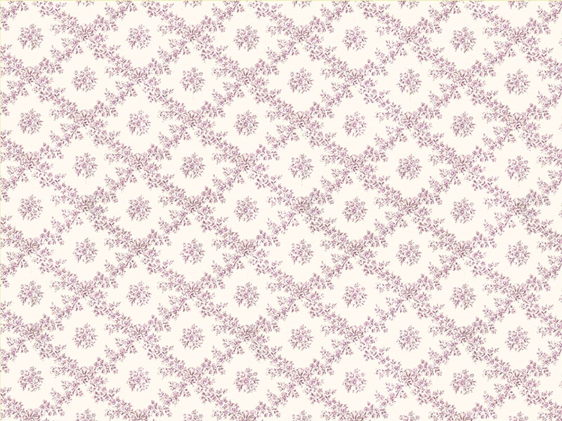PP255