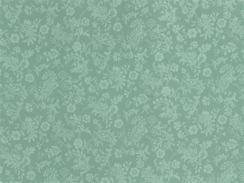PP267