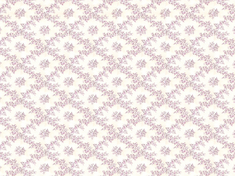 PP232