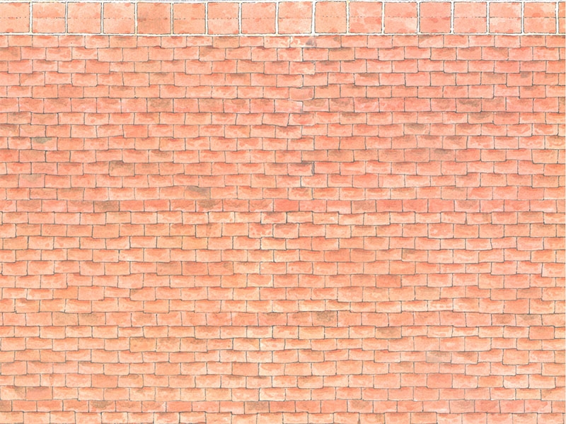 PP238